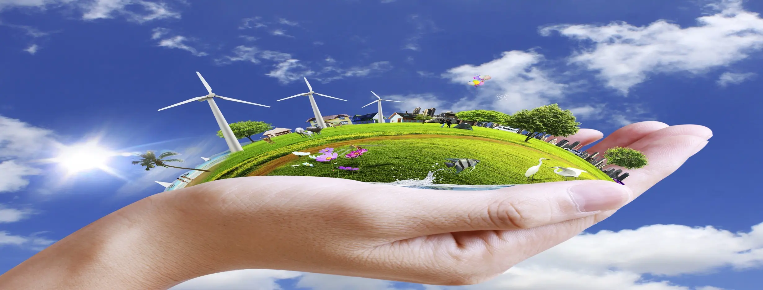 Image for Favorable Investment Climate